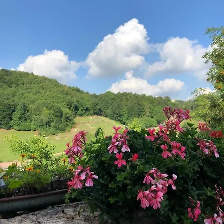 Apartament Cenise Natura Bosco Chiesanuova